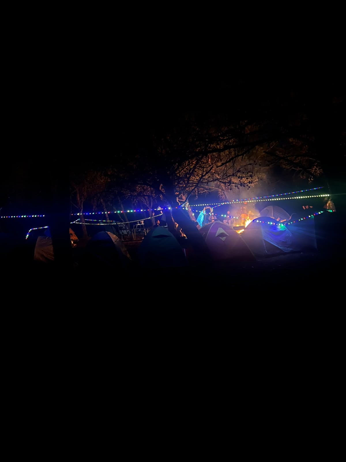 Trip photo 5