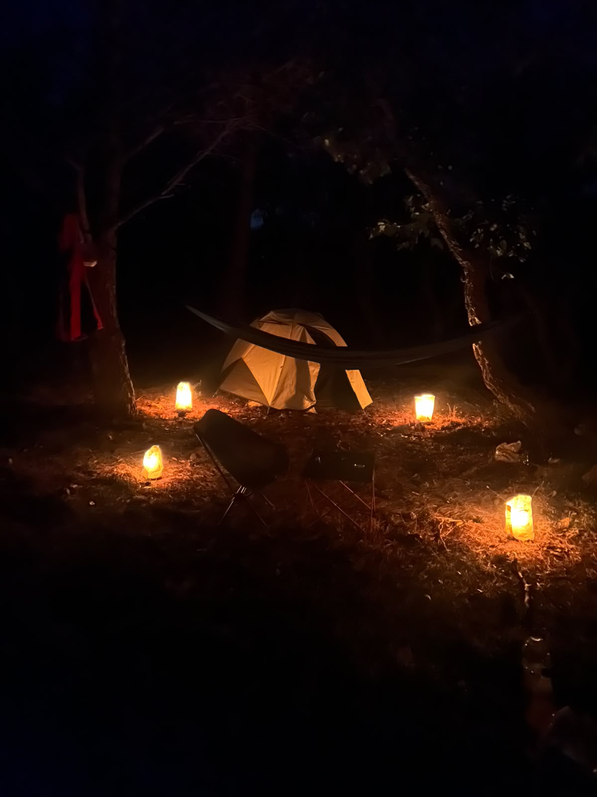 Trip photo 2