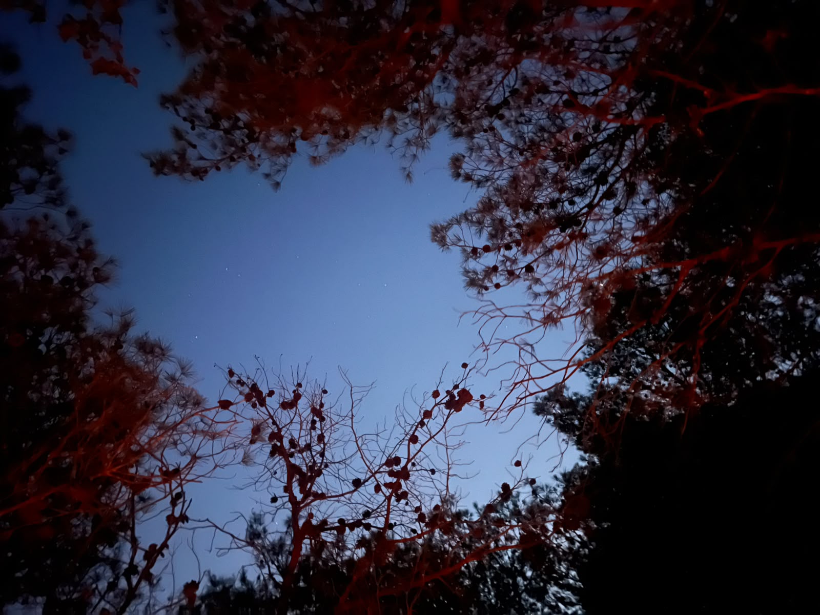 Trip photo 3